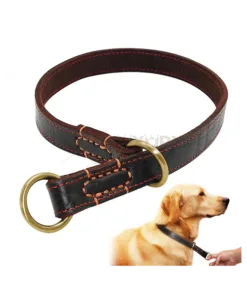 Dog Collar