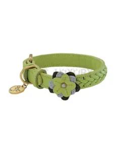 Dog Collar