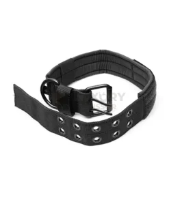 Dog Collar