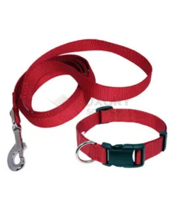 Dog Leads